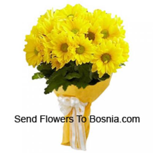 Cool 18 Yellow Gerberas