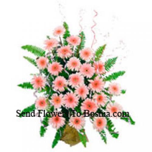 24 Cute Pink Gerberas