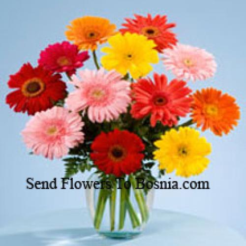 12 Sweet Mixed Gerberas