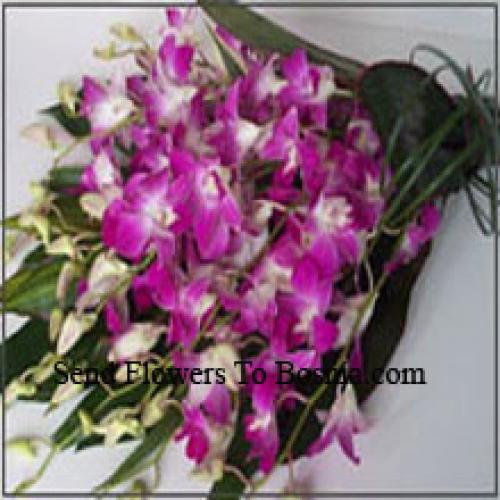 Cute Orchids Bunch