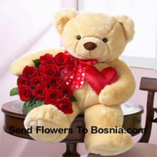 12 Cute Roses with 24 Inch Teddy